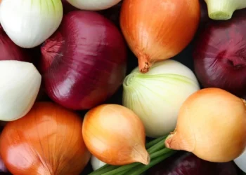 Лук – полезен зеленчук с доказани ползи за здравето