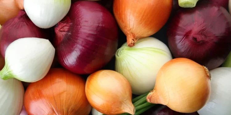 Ползите от лука: защо този зеленчук е истинско злато Лук – полезен зеленчук с доказани ползи за здравето
